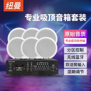  Newmine/纽曼 R15 吸顶式音响套装