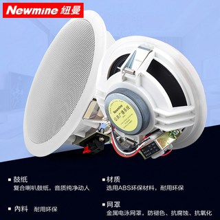  Newmine/纽曼 R15 吸顶式音响套装