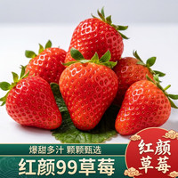 桔色世界 云南99红颜草莓 7-10g×5斤