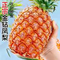 鲜友季 限时1小时 金钻凤梨 净重4.5-5斤（单果1000g+)