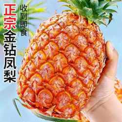 鲜友季 限时1小时 金钻凤梨 净重4.5-5斤（单果1000g+)
