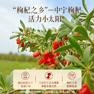 椰泰 枸杞杏皮茶 235ml*10瓶 果蔬汁饮料