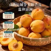椰泰 枸杞杏皮茶 果蔬汁饮料