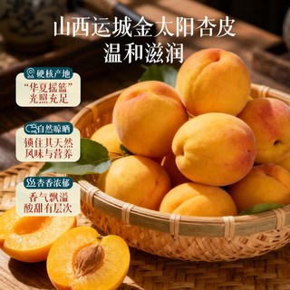 椰泰 枸杞杏皮茶 235ml*10瓶 果蔬汁饮料