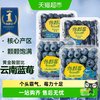 Driscoll's 云南蓝莓小果2盒 12-14mm