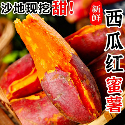 余悦 西瓜红蜜薯 9斤装（净重8斤）