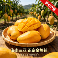 亲佳美金煌芒 特大果10斤