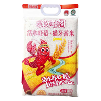 巨金米业 当季新米 籼米 【精选好米】猫牙香米10斤