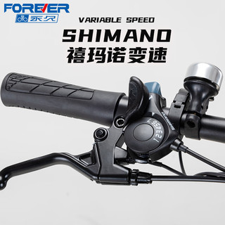  FOREVER/永久 超长续航 电动助力自行车 锂电池 F80摩天黑-助力续航100-110KM-油碟力矩