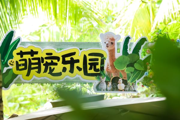 三亚海棠湾喜来登度假酒店4天3晚套餐 椰林海景双床房