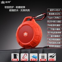 朗琴 T350可插卡蓝牙小音箱无线迷你小型音响便携式超重低音炮户外