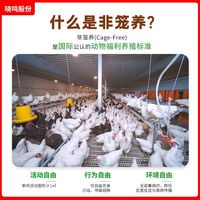 蛋乐道 非笼养五谷喂养红壳鸡蛋