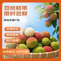 亲佳美 海南妃子笑荔枝 5斤装