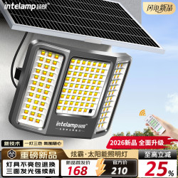 颖朗 YL005-19P10 太阳能户外照明灯庭院灯 大功率超亮led投光灯 防水