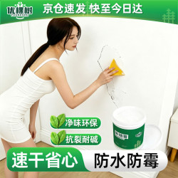 优棵树 墙面修补膏 500g 白色 防霉抗菌