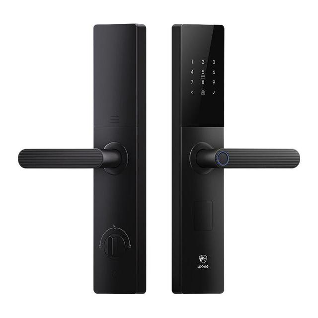 德施曼 T3 半自动指纹密码电子锁