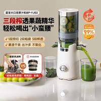 BLAUPUNKT 原汁机榨汁机渣汁分离全自动慢磨冰淇淋机大口径易清洗果蔬果汁机