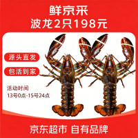 鲜京采 波士顿龙虾 800-1000g/2只