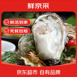 鲜京采 生蚝 5斤 3XL 13-18只装 源头直发 海鲜水产