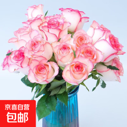 京喜 爱莎玫瑰 玫瑰花束 10枝 云南鲜花直发