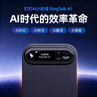 钉钉 Talk A1智能AI录音笔【旗舰款】