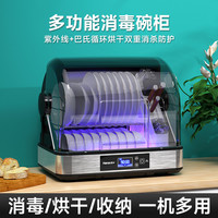 韩加 消毒柜家用厨房台式双层小型碗筷餐具烘干一体紫外线消毒碗柜