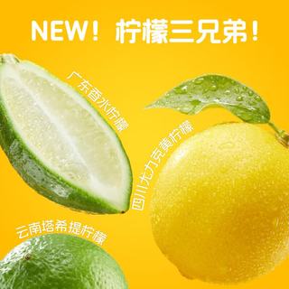 Lemon Republic/柠檬共和国 爆汁三柠低糖低卡气泡饮料 200ml*24罐