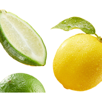 Lemon Republic/柠檬共和国 爆汁三柠低糖低卡气泡饮料 200ml*24罐