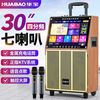 华宝 A1 户外广场舞音响 带显示屏 KTV一体机 音箱
