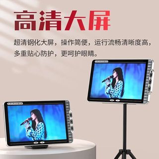 华宝 E12 大音量蓝牙广场舞音响 带麦克风视频播放 户外家用K歌音箱