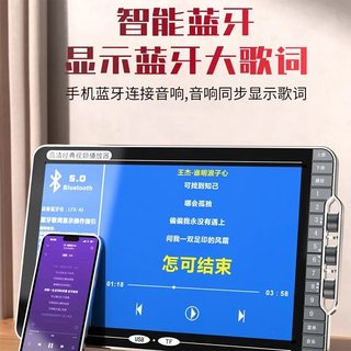 华宝 E12 大音量蓝牙广场舞音响 带麦克风视频播放 户外家用K歌音箱