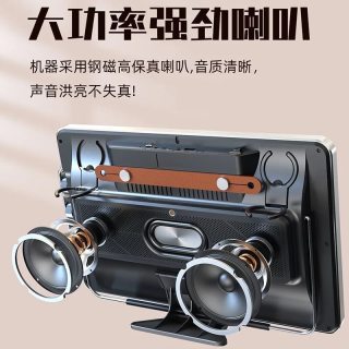 华宝 E12 大音量蓝牙广场舞音响 带麦克风视频播放 户外家用K歌音箱