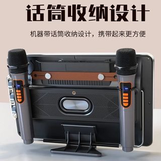 华宝 E12 大音量蓝牙广场舞音响 带麦克风视频播放 户外家用K歌音箱