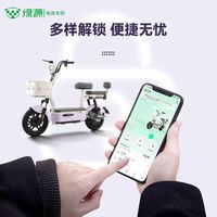  LUYUAN/绿源 长续航 电动自行车