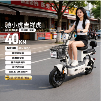 驰小虎 电动自行车 吉祥虎 新国标48V12Ah铅酸 高碳钢车架【装好送到家】