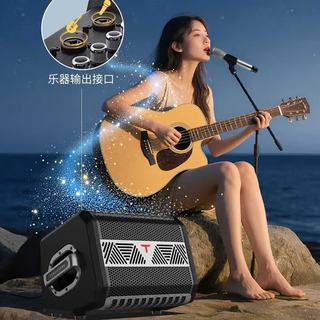  TEMEISHENG/特美声 内置声卡 户外音响