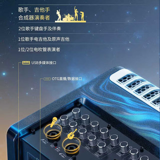 TEMEISHENG/特美声 内置声卡 户外音响