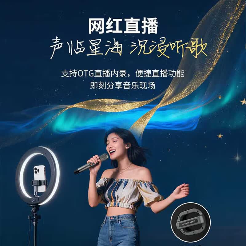  TEMEISHENG/特美声 内置声卡 户外音响