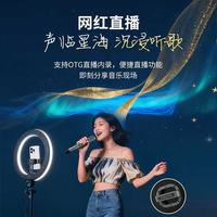 TEMEISHENG/特美声 内置声卡 户外音响