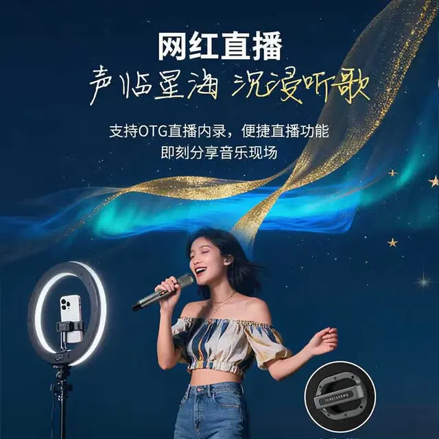  TEMEISHENG/特美声 内置声卡 户外音响