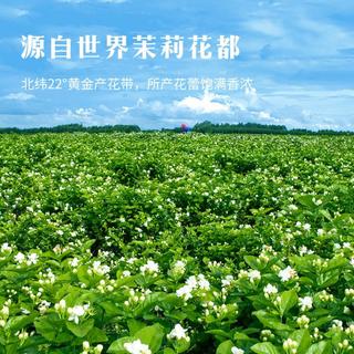 八马茶业 多三朵茉莉花茶