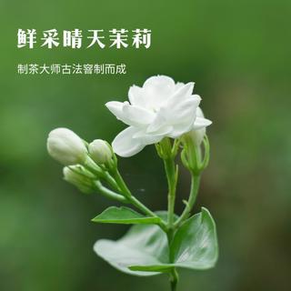 八马茶业 多三朵茉莉花茶