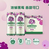 夏日纷 苹果味+黑莓味西打酒混合精酿罐装果酒6罐