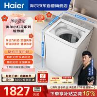 海尔 小红花波轮洗衣机 全自动懒人10公斤家用 XQS100-BE73M双动力 10kg 一级能效