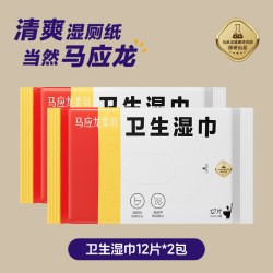 马应龙 卫生湿巾湿厕纸40片擦屁屁私处清洁专用湿巾官方旗舰正品(4包湿厕纸40片)