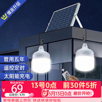 大头人 太阳能户外照明灯 防水体感应灯