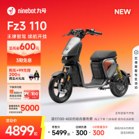 今日必买：九号 Fz3 110 新国标电动自行车 门店自提