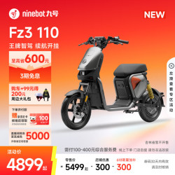 九号 Fz3 110 新国标电动自行车 门店自提
