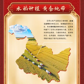 五稻田 五常大米 一级粳米 5kg 真空包装
