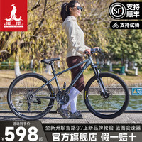 PHOENIX KA848 成人男女款山地车